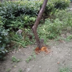 大学---1